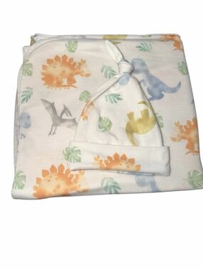 Baby Dinosaur Print Swaddle Blanket & Knot Hat Set - Multicolor